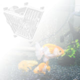 Maxbell Acrylic Fish Feeding Cup Feeding Tool Aquarium V Shape Cone Red Worm Feeder Sucker for Frozen
