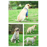 Maxbell Dog Knee Pads Leg Support Brace Adjustable Dogs Leg Brace Wound Heals S Gray