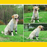 Maxbell Dog Knee Pads Leg Support Brace Adjustable Dogs Leg Brace Wound Heals S Gray