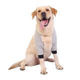 Maxbell Dog Knee Pads Leg Support Brace Adjustable Dogs Leg Brace Wound Heals L Gray