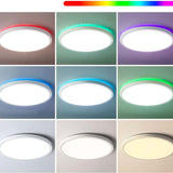 Maxbell Ceiling Light with RGB Cycle Ceiling Lamp for Bedroom Hotel Decoration