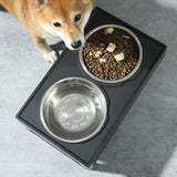 Maxbell Water and Food Bowls Set Pet Food Feeder Elevated Raised Bowls Stand Stainless Steel Bowl