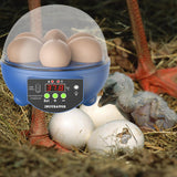 Maxbell USB 6 Eggs Incubator Automatic Egg Turner Hatching Eggs for Birds Goose Eggs Blue