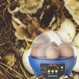 Maxbell USB 6 Eggs Incubator Automatic Egg Turner Hatching Eggs for Birds Goose Eggs Blue