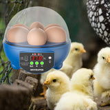 Maxbell USB 6 Eggs Incubator Automatic Egg Turner Hatching Eggs for Birds Goose Eggs Blue