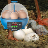Maxbell Egg Incubator Manual Egg Turner Temperature Control for Pigeon Goose Eggs Blue