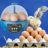 Maxbell Egg Incubator Manual Egg Turner Temperature Control for Pigeon Goose Eggs Blue