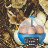 Maxbell Egg Incubator Manual Egg Turner Temperature Control for Pigeon Goose Eggs Blue