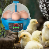 Maxbell Egg Incubator Manual Egg Turner Temperature Control for Pigeon Goose Eggs Blue