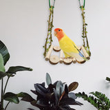 Maxbell Parrot Swing Toys Gnawing Play Supplies Chew for Budgie Conures lovebirds