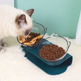 Maxbell Slanted Cat Bowls Pet Feeder Double Pet Bowls Raised Stand for Puppy Cats