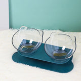Maxbell Slanted Cat Bowls Pet Feeder Double Pet Bowls Raised Stand for Puppy Cats