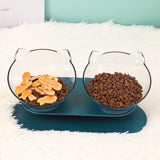 Maxbell Slanted Cat Bowls Pet Feeder Double Pet Bowls Raised Stand for Puppy Cats