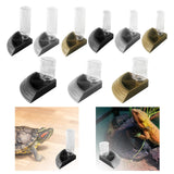 Maxbell Turtle Foods Feeding Water Bowl Reptiles Feeders Waterer for Gecko  S Black