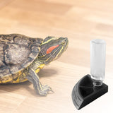 Maxbell Turtle Foods Feeding Water Bowl Reptiles Feeders Waterer for Gecko  S Black