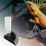 Maxbell Turtle Foods Feeding Water Bowl Reptiles Feeders Waterer for Gecko  S Black