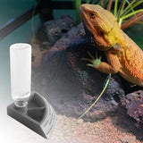 Maxbell Turtle Foods Feeding Water Bowl Reptiles Feeders Waterer for Gecko  S Gray