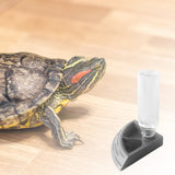 Maxbell Turtle Foods Feeding Water Bowl Reptiles Feeders Waterer for Gecko  S Gray