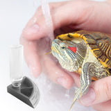 Maxbell Turtle Foods Feeding Water Bowl Reptiles Feeders Waterer for Gecko  S Gray