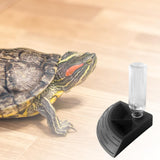 Maxbell Turtle Foods Feeding Water Bowl Reptiles Feeders Waterer for Gecko  M Black