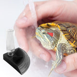 Maxbell Turtle Foods Feeding Water Bowl Reptiles Feeders Waterer for Gecko  M Black