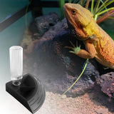 Maxbell Turtle Foods Feeding Water Bowl Reptiles Feeders Waterer for Gecko  M Black