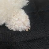 Maxbell Dog Car Seat Cover Anti Scratch Universal Easy to Clean Non Slip Copilot Black