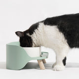 Maxbell Pet Dog Bowl Stand 2 Modes Height Pet Bowls Elevated Feeder Food Container Green