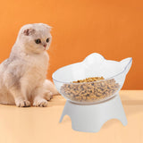 Maxbell Elevated Cat Food Bowls with Stand Dispenser Feeder Raised Dish Bowl Clear