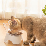 Maxbell Elevated Cat Food Bowls with Stand Dispenser Feeder Raised Dish Bowl Clear