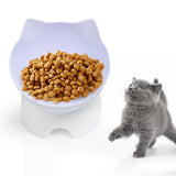 Maxbell Elevated Cat Food Bowls with Stand Dispenser Feeder Raised Dish White Bowl