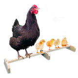 Maxbell Wooden Chicken Perch Chicken Coop Accessories Chicken Toys for Hens Parrot