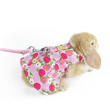 Maxbell Rabbit Vest Harness Leash Set Pet Clothes Costume for Ferret Pet Supplies Pink