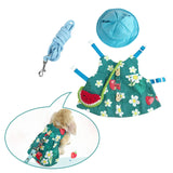 Maxbell Rabbit Vest Harness Leash Set Pet Clothes Costume for Ferret Pet Supplies Blue