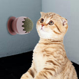 Maxbell cat Snacks Catnip Adhesive Treats Toy ball Wall Mount Interactive Red