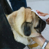 Maxbell Pet Grooming Hammock Cat Dog Restraint Bag Puppy Holder Nail Clipping Black 92cmx52cm M