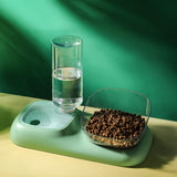 Maxbell Dog Cat Double Bowl Food and Water Bowl Lightweight Smooth Surface Durable