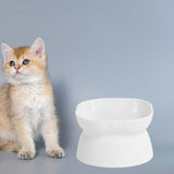 Maxbell Elevated Cat Bowls Tilted Upper and Lower Bowls Stylish Durable Cat Dishes White