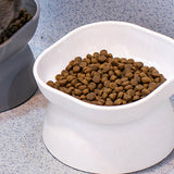 Maxbell Elevated Cat Bowls Tilted Upper and Lower Bowls Stylish Durable Cat Dishes White