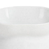 Maxbell Elevated Cat Bowls Tilted Upper and Lower Bowls Stylish Durable Cat Dishes White