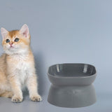 Maxbell Elevated Cat Bowls Tilted Upper and Lower Bowls Stylish Durable Cat Dishes Grey