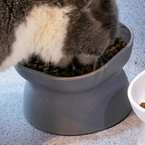 Maxbell Elevated Cat Bowls Tilted Upper and Lower Bowls Stylish Durable Cat Dishes Grey