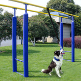 Maxbell Dog Outdoor Bungee Hanging Toy Interactive Durable Tugger Tether Tug Toy Black