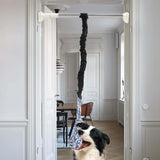 Maxbell Dog Outdoor Bungee Hanging Toy Interactive Durable Tugger Tether Tug Toy Black