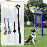 Maxbell Dog Outdoor Bungee Hanging Toy Interactive Durable Tugger Tether Tug Toy Black