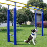 Maxbell Dog Outdoor Bungee Hanging Toy Interactive Durable Tugger Tether Tug Toy Grey