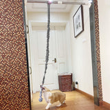 Maxbell Dog Outdoor Bungee Hanging Toy Interactive Durable Tugger Tether Tug Toy Grey