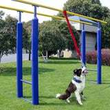 Maxbell Dog Outdoor Bungee Hanging Toy Interactive Durable Tugger Tether Tug Toy Red