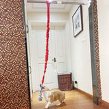 Maxbell Dog Outdoor Bungee Hanging Toy Interactive Durable Tugger Tether Tug Toy Red