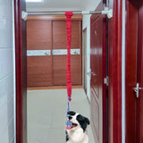 Maxbell Dog Outdoor Bungee Hanging Toy Interactive Durable Tugger Tether Tug Toy Red